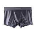 ElegantBoxer Plus