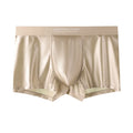 ElegantBoxer Plus